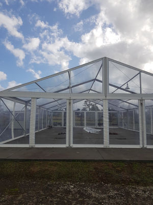 Elegant Big Commercial Tent Outdoor Wedding Marquee Tent Weather Resistance