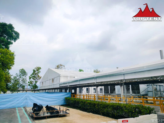High Capacity Clearspan Outdoor Storage Tent Large Temporary Warehouse Tent