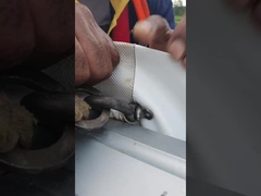 Mシリーズ マスターAフレームテント