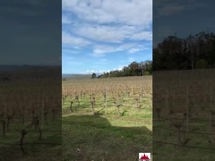 야외 행사용 지오데식 돔 마케이 텐트